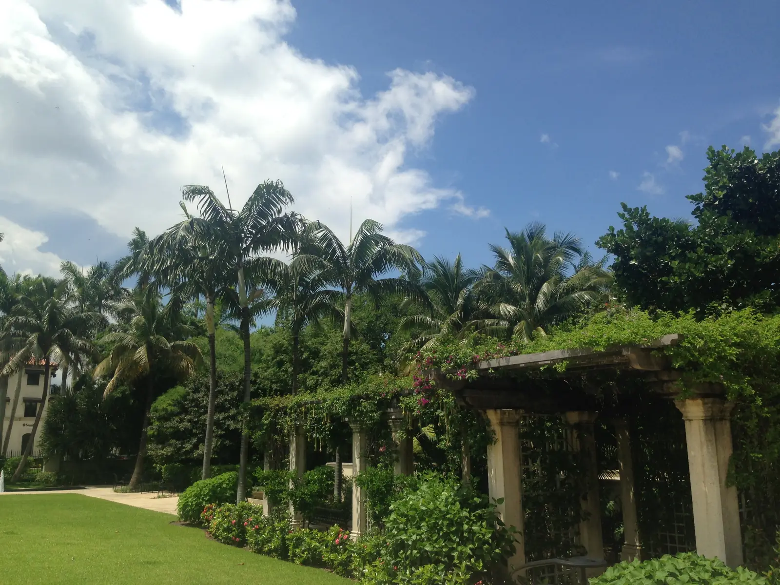A garden lawn bordered by flowering shrubs and a vine-covered stone pergola on columns, with tall palms and dense tropical trees behind under a bright sky with big white clouds.