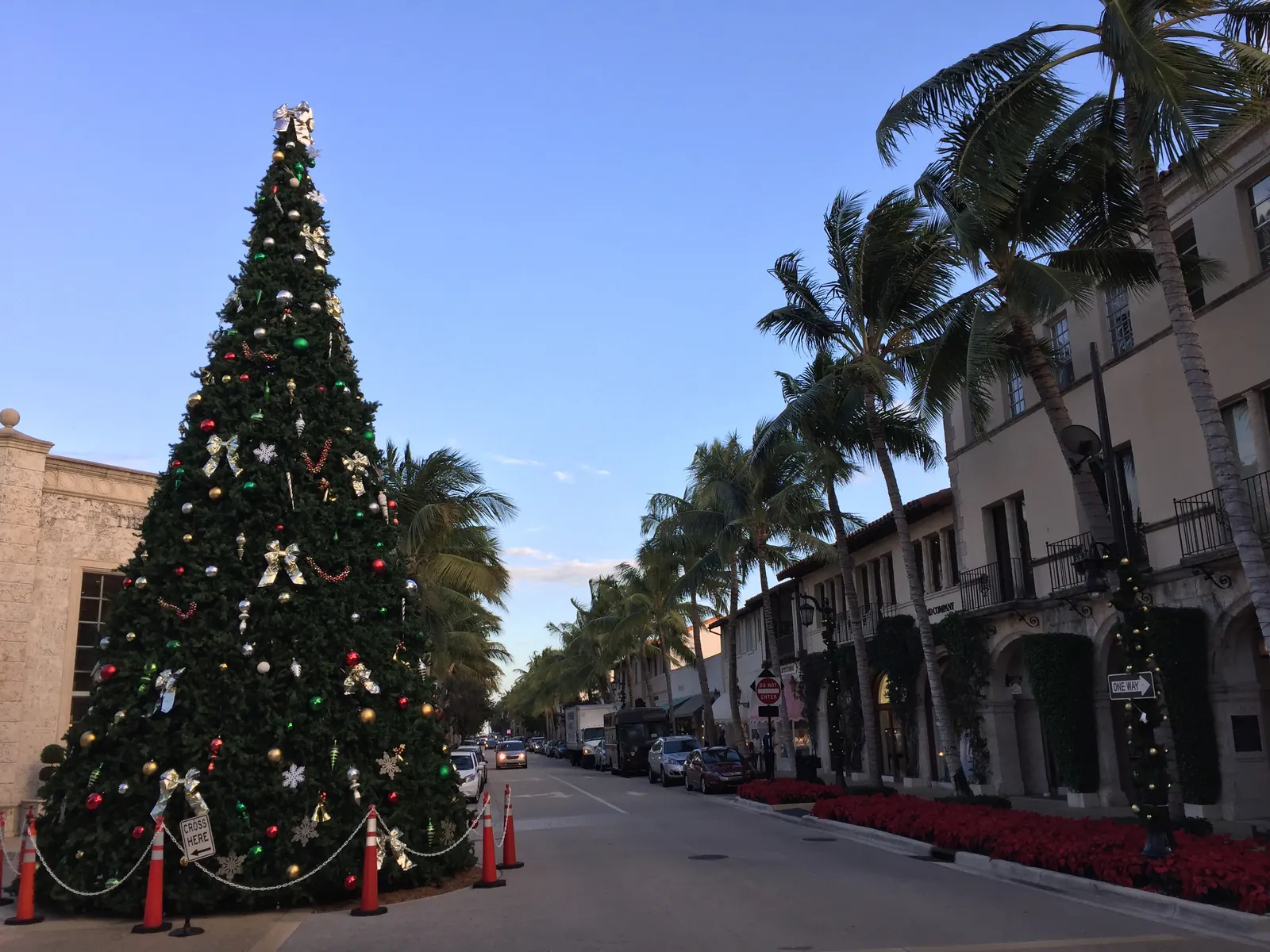 A tall decorated Christmas tree with red and gold ornaments and bows, ringed by orange traffic cones and a chain, at the edge of Worth Avenue; to the right, palms and two-storey Mediterranean-style shopfronts with red poinsettias along the sidewalk under a blue late-afternoon sky.